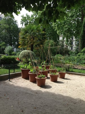 Square Maurice Gardette by null