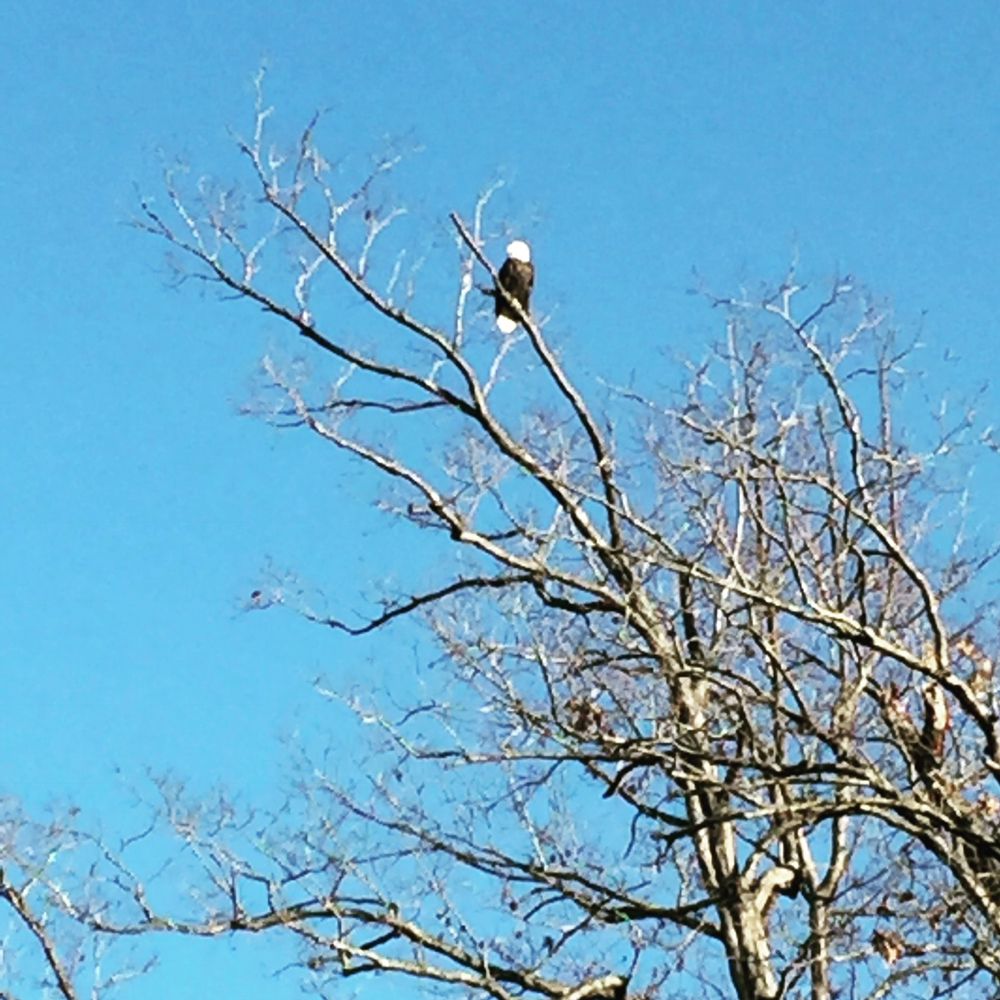 WHISPERING HILLS CABINS 67 Photos 20905 Whispering Hills Rd