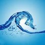Photo of Puritan Water
