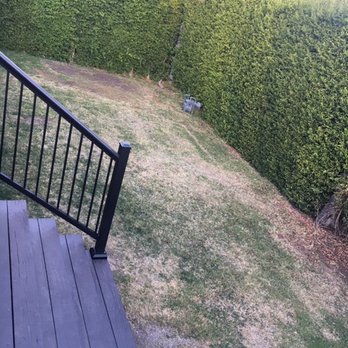 Smart Yards, Inc - 100s of 5 Star Reviews - Artificial Turf Near Me - Burbank, California Smart Yards, Inc - 100s of 5 Star Reviews - Artificial Turf Near Me - Burbank, California