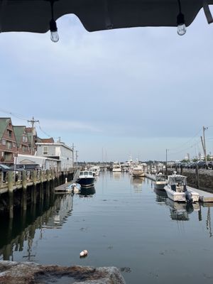J’s Oyster by null