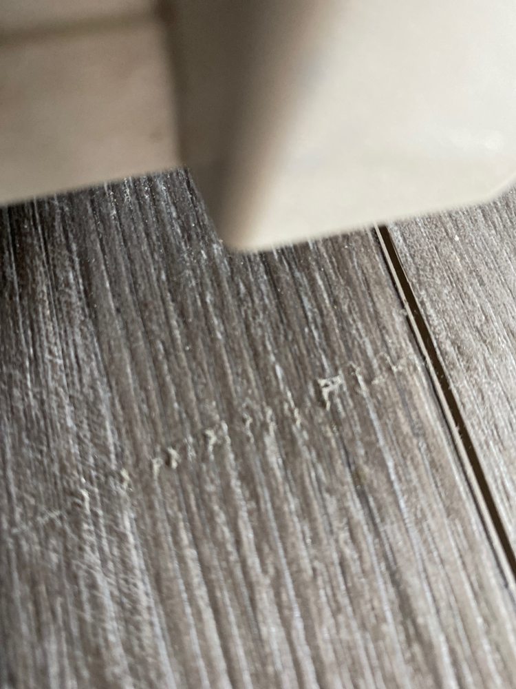 LE BON APPLIANCES Updated November 2024 41 Reviews 38509 6th St E