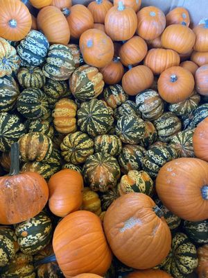 Sonoma Valley Fruit Basket by null