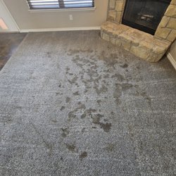Miracle Carpet Cleaning - Extreme urine contamination