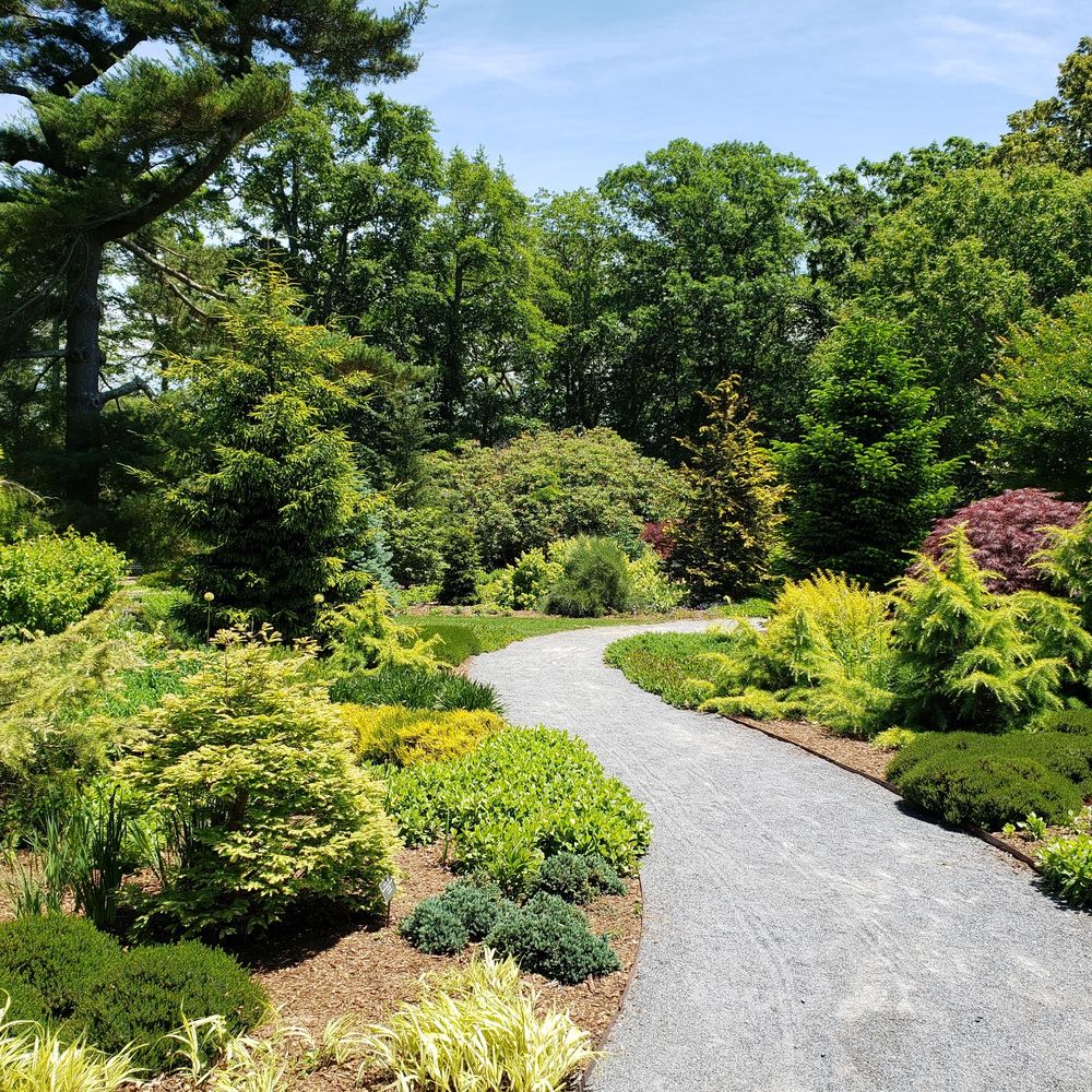 Bayard Cutting Arboretum - Conifer garden - Parks Near Me - Great River, New York Bayard Cutting Arboretum - Conifer garden - Parks Near Me - Great River, New York