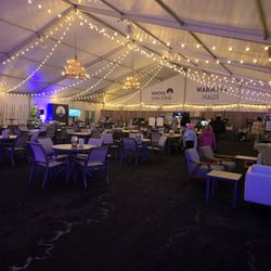The Minnesota Ice Festival