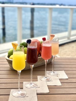 Pamplemousse on the Bay by null