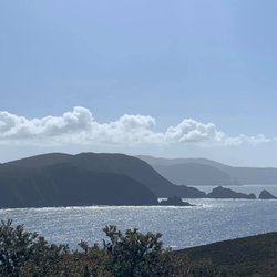 Bruny Island Safaris - Scenic