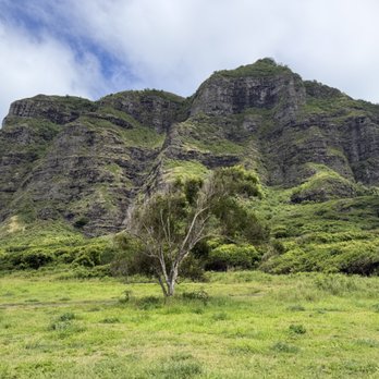 Kualoa Ranch - Tours Near Me - Kaneohe, Hawaii Kualoa Ranch - Tours Near Me - Kaneohe, Hawaii