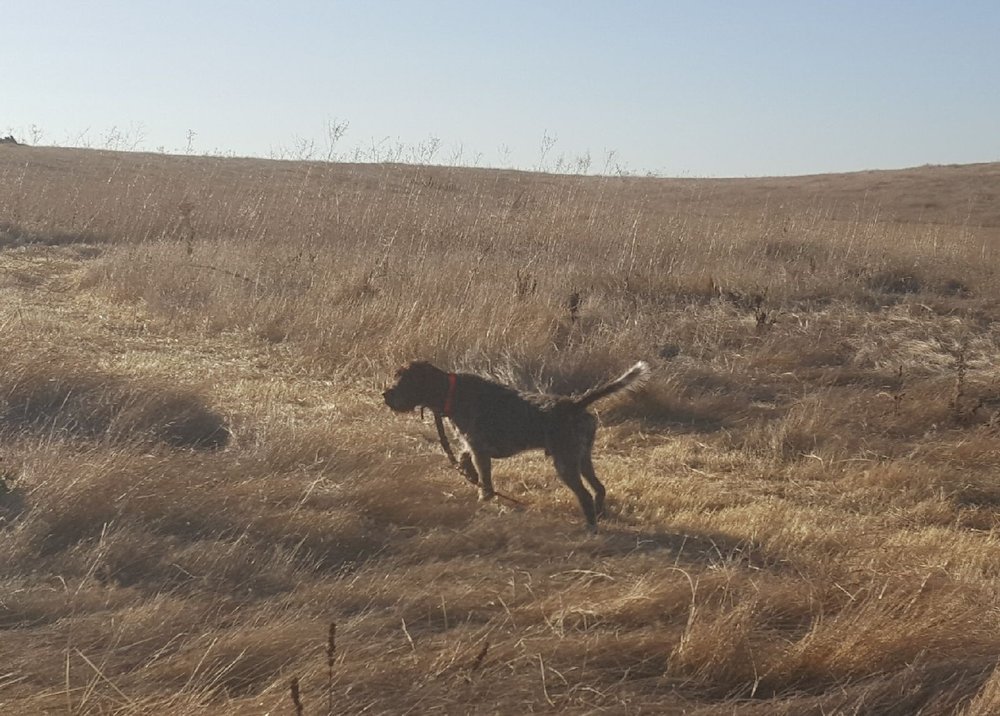 QUAIL POINT HUNT CLUB - 15 Photos & 20 Reviews - 29625 County Rd 14