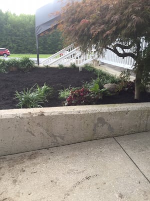 Laszlo's Iron Skillet Food Truck by null