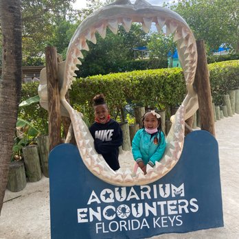 Florida Keys Aquarium Encounters - Aquariums Near Me - Marathon, Florida Florida Keys Aquarium Encounters - Aquariums Near Me - Marathon, Florida