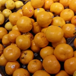 Coles - Fresh ingredients?