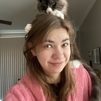 Majestic Maine Coons - Pet Breeders Near Me - Cedar Hill, Texas Majestic Maine Coons - Pet Breeders Near Me - Cedar Hill, Texas