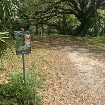City Park Disc Golf Course - Disc Golf Near Me - New Orleans, Louisiana City Park Disc Golf Course - Disc Golf Near Me - New Orleans, Louisiana