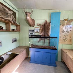 4-H Tidelands Nature Center - Tidelands Nature Center