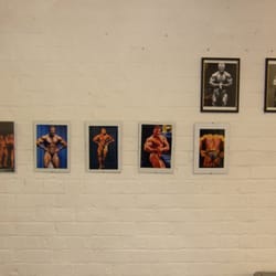 Muscle Mayhem Gym