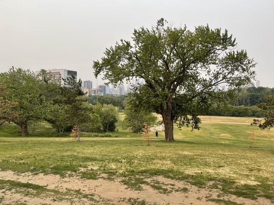 Riverdale Park East by null