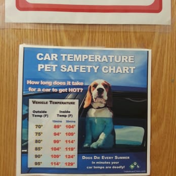 Westside Animal Welfare Department - Animal Shelters Near Me - Albuquerque, New Mexico Westside Animal Welfare Department - Animal Shelters Near Me - Albuquerque, New Mexico