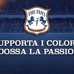 The Fans