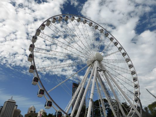 The Wheel of Brisbane by null
