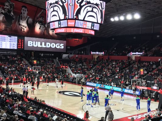 Stegeman Coliseum by null