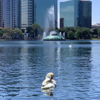 Lake Eola Park - Lake and fountain - Parks Near Me - Orlando, Florida