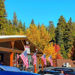 Blue Jay Village