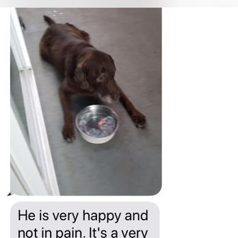Uncle Jeff's Pet Sitting & More - Uncle Jeff updates - Dog Walkers Near Me - Canoga Park, California Uncle Jeff's Pet Sitting & More - Uncle Jeff updates - Dog Walkers Near Me - Canoga Park, California