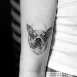 For the Sinners Tattoo - Dog portrait by Kane Navasard