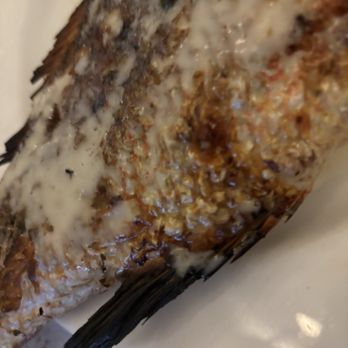 City Fish Market - Whole red snapper - Seafood Near Me - Boca Raton, Florida City Fish Market - Whole red snapper - Seafood Near Me - Boca Raton, Florida