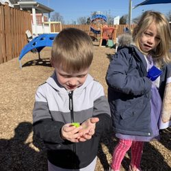 Little Lambs Preschool