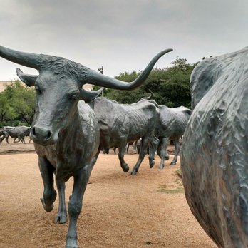 Pioneer Plaza Cattle Drive - Local Flavor Near Me - Dallas, Texas Pioneer Plaza Cattle Drive - Local Flavor Near Me - Dallas, Texas