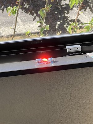 Newcomb's Cafe at Montilio's by null