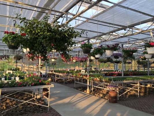 Early Bird Farm by null