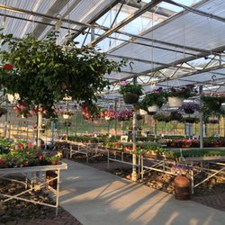 Early Bird Farm