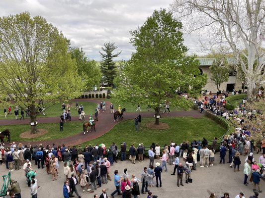 KEENELAND TRACK KITCHEN - Updated March 2025 - 64 Photos & 38 Reviews