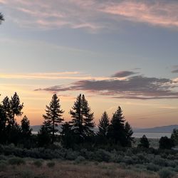Honey Lake Campground