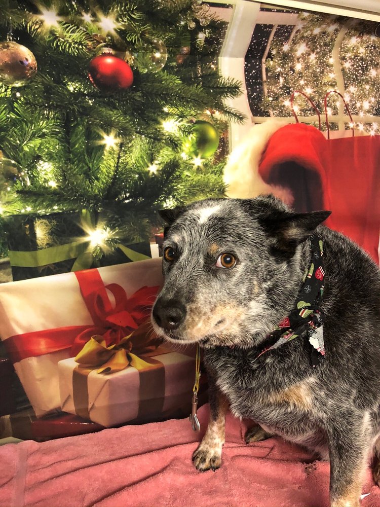 THE ROLLING SPAW Updated September 2024 46 Photos & 16 Reviews