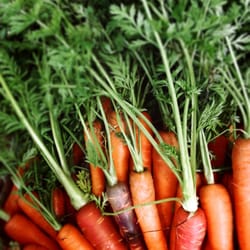 Paradise Produce Market
