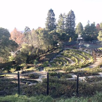 The Berkeley Rose Garden - Berkeley rose garden view from above - Botanical Gardens Near Me - Berkeley, California The Berkeley Rose Garden - Berkeley rose garden view from above - Botanical Gardens Near Me - Berkeley, California