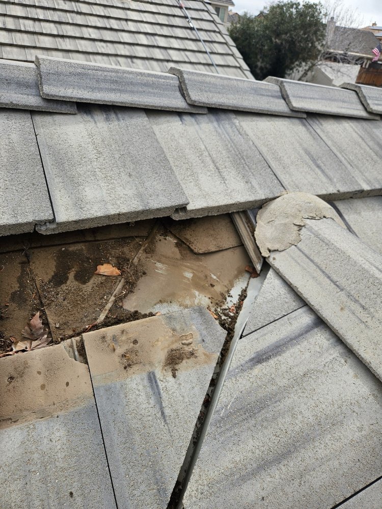 Slide of Romer’s Roofing