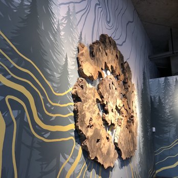 40 LBS Coffee + Bar - Wall art - Coffee & Tea Near Me - Portland, Oregon