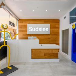 Sudsies Dry Cleaners Boca Raton