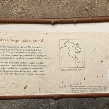 Field Museum - California Condor signage from 1980s - it's neglected and outdated. My daughter added an update. - Museums Near Me - Chicago, Illinois Field Museum - California Condor signage from 1980s - it's neglected and outdated. My daughter added an update. - Museums Near Me - Chicago, Illinois