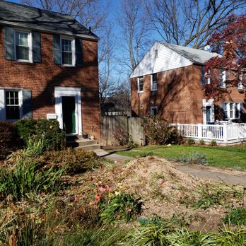 Marquez Tree Services - AFTER - Tree Services Near Me - Silver Spring, Maryland