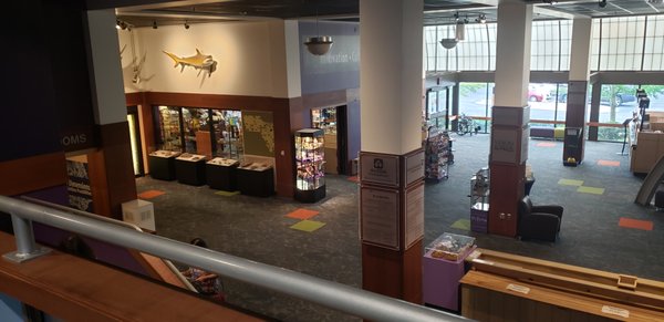 Putnam Museum and Science Center by null