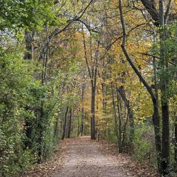 Lions Valley Park - View