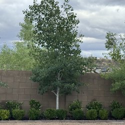 user provided Vastine Landscape Design And Services photo