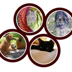 TENDmyPet - TENDmyPet | Bend Oregon Pet Sitting | Pet Tending to a T